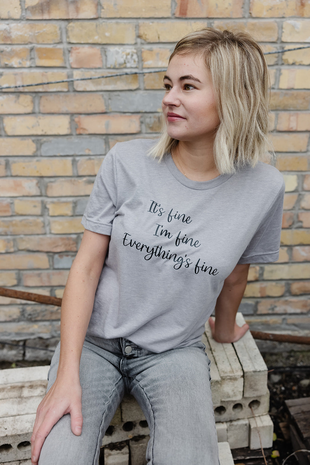 IT'S FINE   I'M FINE   EVERYTHING'S FINE   grey shirt- Unisex size adult graphic tees